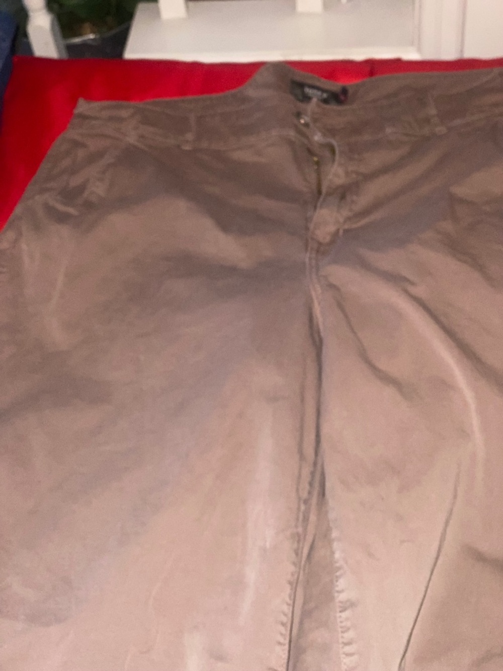Torrid - Picture 1 of 2